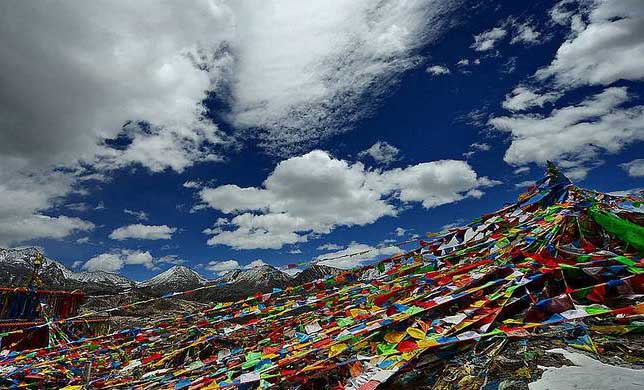 timg (1).jpg timg (1).jpg