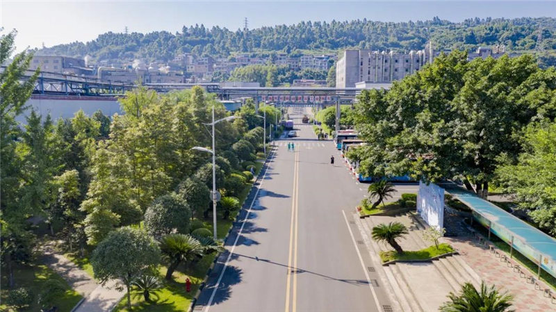 2020113155198529.jpg 2020113155198529.jpg