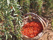 9��3�ա�����ĳ���Ʒ�ƶ�λ��ԃ�(xi��ng)Ŀ�R��(b��o)���A�M��Ļ��