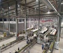 �Ƽ���˾н���O(sh��)Ӌ(j��)�����l(f��)��(chu��ng)���ܣ����I(l��ng)�Ƽ�ǰ�ء��Ƽ��ИI(y��)�����YԴ��ԃ-�Ƽ��ИI(y��)н�꿃(j��)Ч-�ɶ��Ƽ��ИI(y��)������ԃ��