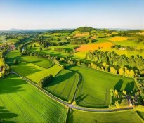 �r(n��ng)�I(y��)�ИI(y��)н���O(sh��)Ӌ(j��)������н����Ұ���ի@�˲ŴT�����r(n��ng)�I(y��)�����YԴ��ԃ-�r(n��ng)�I(y��)н�꿃(j��)Ч-�ɶ��r(n��ng)�I(y��)�ИI(y��)������ԃ��