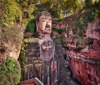 ��ɽ�����I(y��)��λ��ʮ���塱Ҏ(gu��)�����Ʒ���ָ��(d��o)���h������ʮ����Ҏ(gu��)��-�I(y��)��λʮ����Ҏ(gu��)����