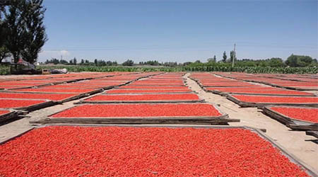 �����ԃ��������ИI(y��)�������ɶ�Ʒ�ơ��¹���轡��������ԃ������Ʒ�ƶ�λ��ԃ���ա�